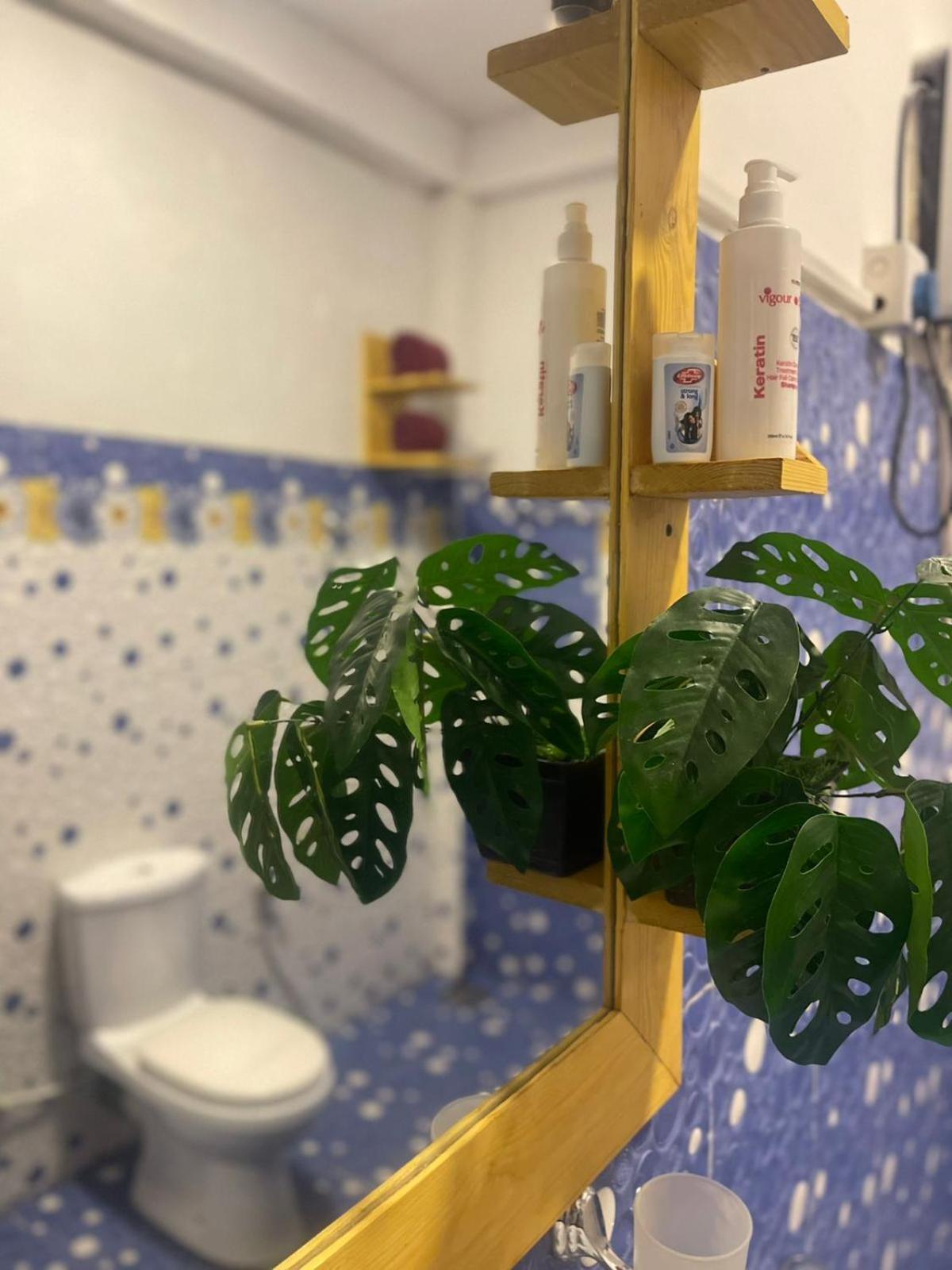 Ella Forest Eco View Eksteriør bilde